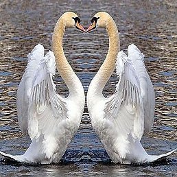 ������, �����������, 65 ���