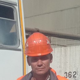 ����, ������, 41 ���