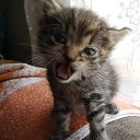 ���� �������, �����������, 41 ��� - ��������� 24 ������� 2023 � ������ ���� ����������