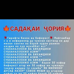 ����, ������, 56 ���