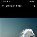  , , 54  -  6  2023