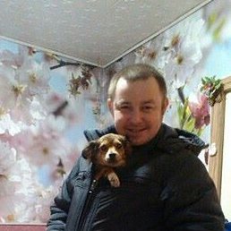 �������, ������, 38 ���