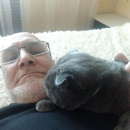 ������, ������, 29 ���