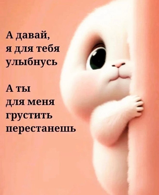   - 12  2023  21:20