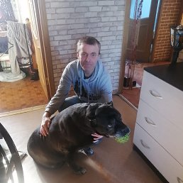 ���� ������, �����-���������, 56 ��� - ��������� 12 ����� 2023