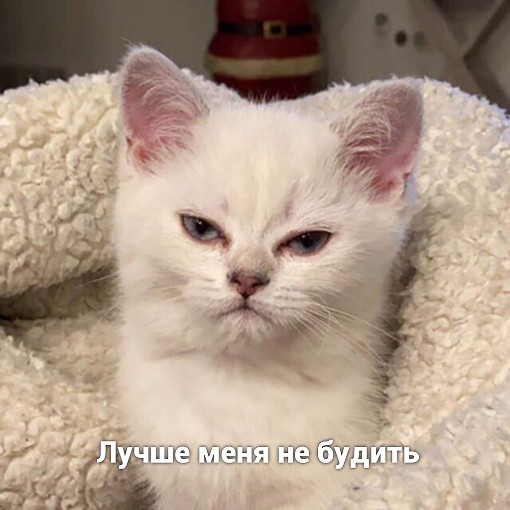     - 4