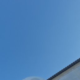 �����, �������, 46 ���