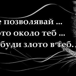 Yonka, ����� ������, 56 ���