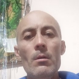 ������, �������, 50 ���