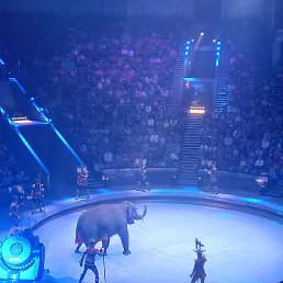 ���� ���������, ������, 44 ���� - ��������� 4 ������� 2023