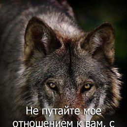 , 
