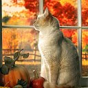 ���� ��������, �����-���������, 46 ��� - ��������� 17 ������� 2023