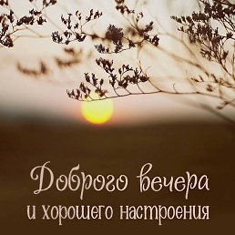 �����, ����������, 66 ���