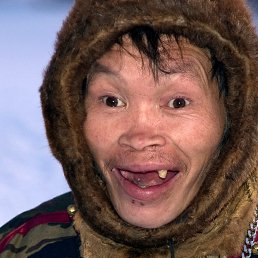 ���� �������, ������, 40 ��� - ��������� 13 ���� 2023