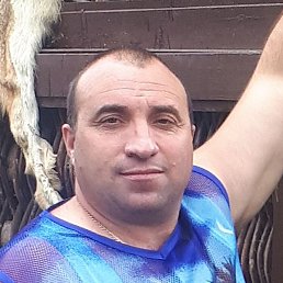 ������, ������, 46 ���