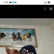 ���, 62 ����, �������