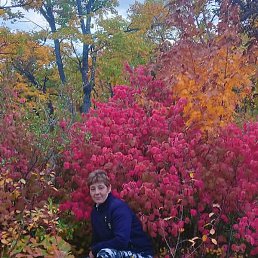 ������, ������, 55 ���