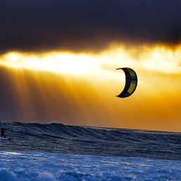 �����, ������, 44 ����