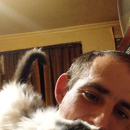 ��������, �����, 39 ���