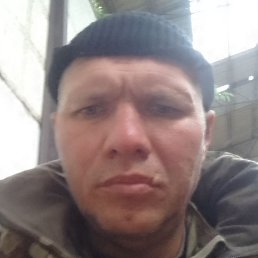 ������, �������, 46 ���