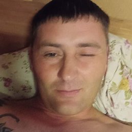 �����, �����-���������, 43 ����