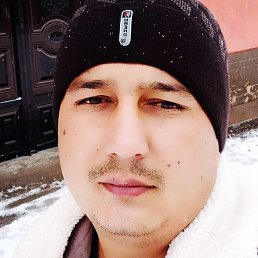 T���� ���, �������, 33 ����