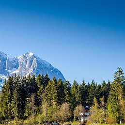 ����, �����������, 46 ���