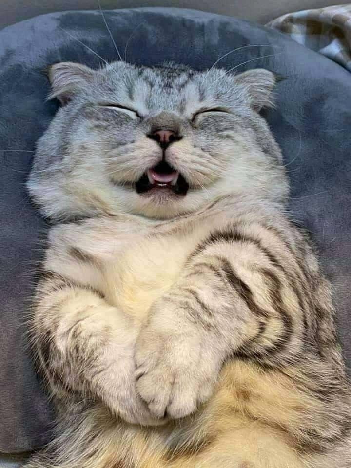  ,   )