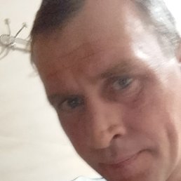 ����������, �����-���������, 46 ���