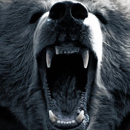 ������, ������, 44 ����