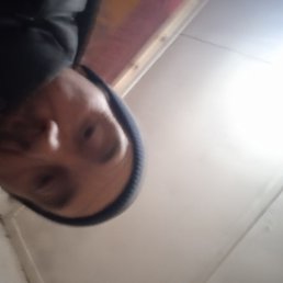 �����, ������, 41 ���