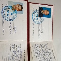 ���� ���������, ������, 44 ���� - ��������� 15 �������� 2023