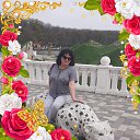 ���� �������, ���������, 61 ��� - ��������� 3 ������� 2023 � ������ ���� ����������