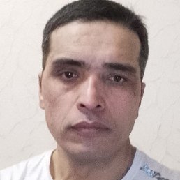 ����, �����-���������, 40 ���