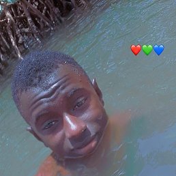 Bakery, �����������, 20 ���