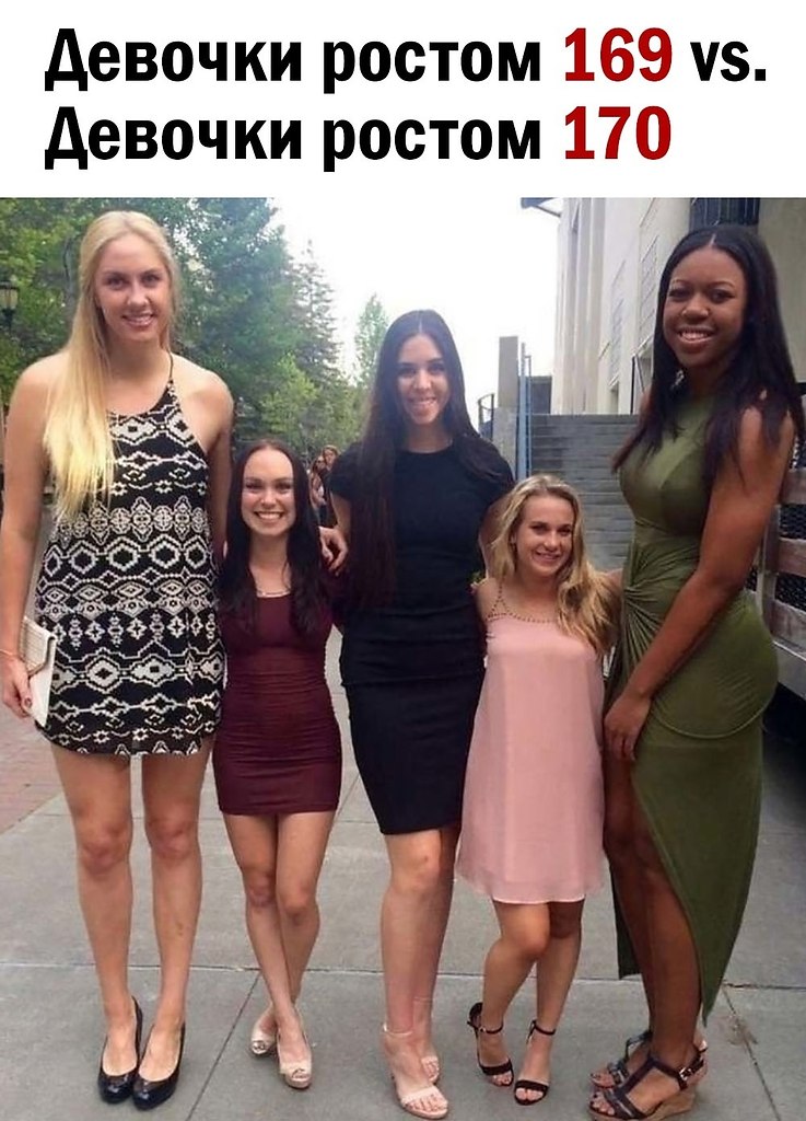  ,   .