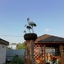 ���� ���������, ������, 58 ��� - ��������� 1 ������ 2023