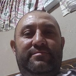 �����, �������, 44 ����