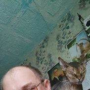 , 37 , 