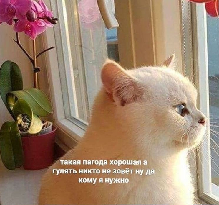 ��� �������� �������� - 16 ������� 2023 � 13:28