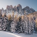 ���� �����, ������������, 67 ��� - ��������� 1 ���� 2023 � ������ ���� ����������