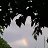 ���� �, ���� - ��������� 23 ������� 2023