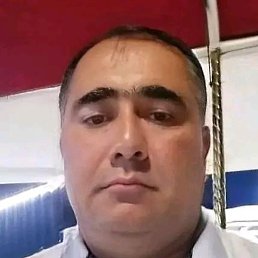 ������, ����, 46 ���