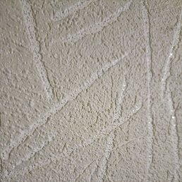 ���, �����������, 29 ���