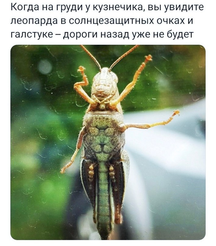   - 24  2023  17:40