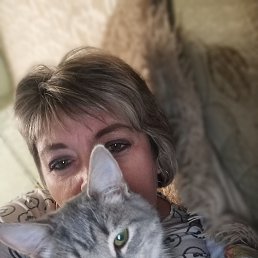 ���� �����, �����, 49 ��� - ��������� 19 ������� 2023