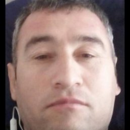 �����, ������, 41 ���