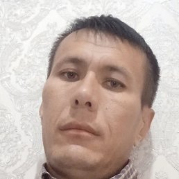 ������, �����, 36 ���