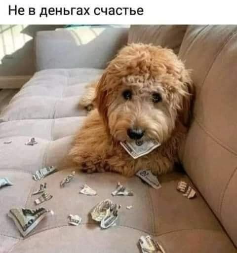  - 30  2023  21:00