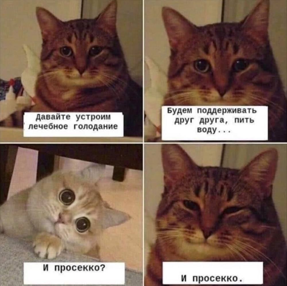    - 19  2023  20:16